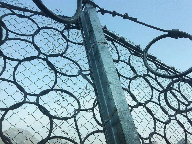 RXI-200�ͱ��ӷ��o�W(w��ng)