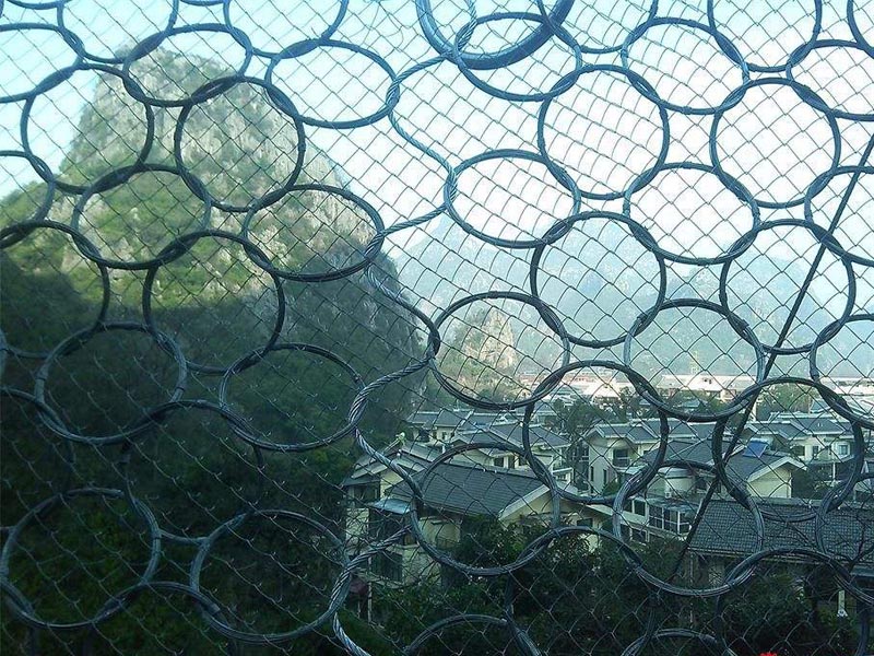 RXI-200型被動(dòng)防護(hù)網(wǎng) (2).jpg