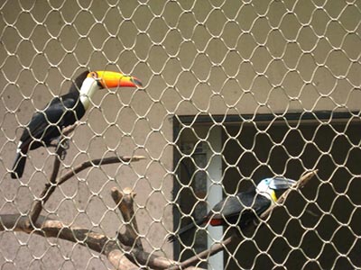 ����@���o�W(w��ng)