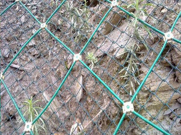 GND2���ӷ��o�W(w��ng)���Gɫ��