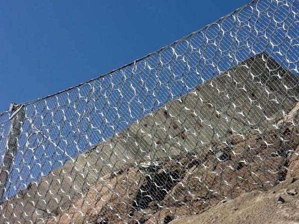 RXI-100�ͱ��ӷ��o�W(w��ng)