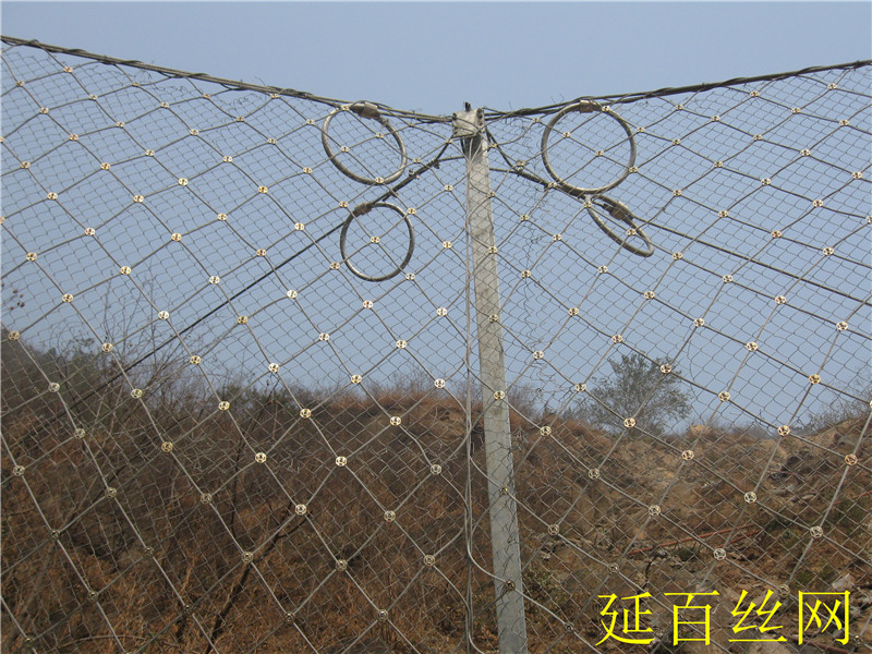 RX-050�ͱ��ӷ��o�W(w��ng)