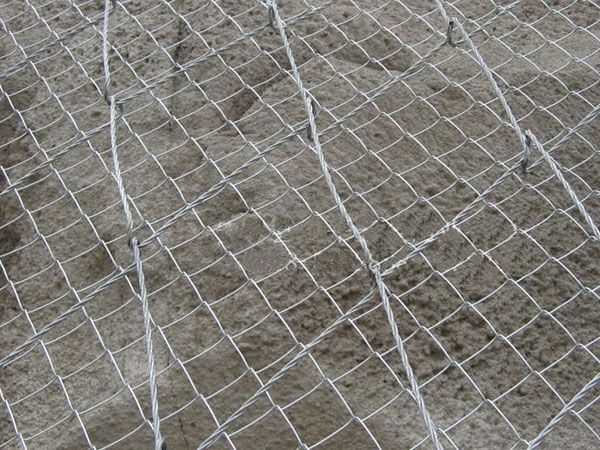 SPIDER�g���W(w��ng)