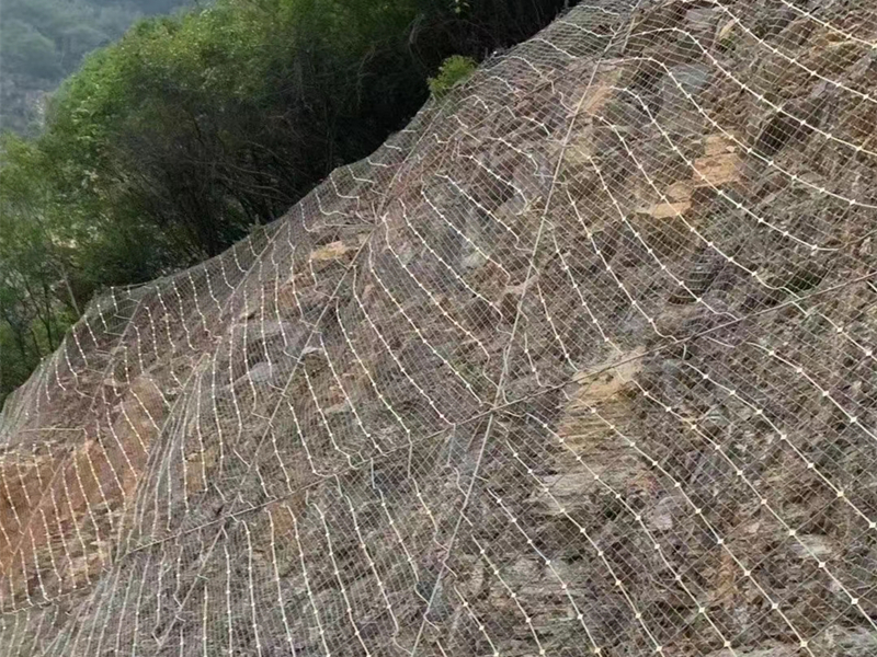 GAR1�����ӷ��o�W(w��ng) 